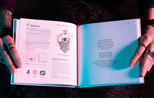 Anthromancer Codex (Signed) - A Guide for Wizards